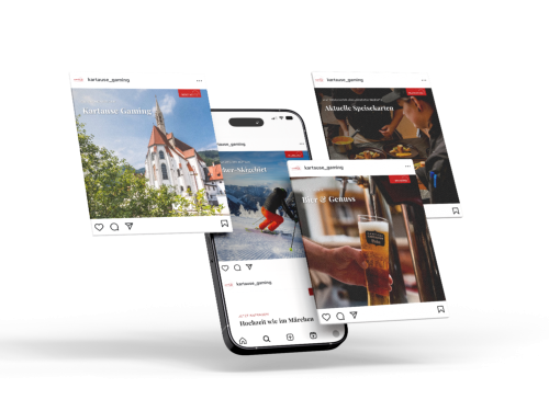 Kartause Web