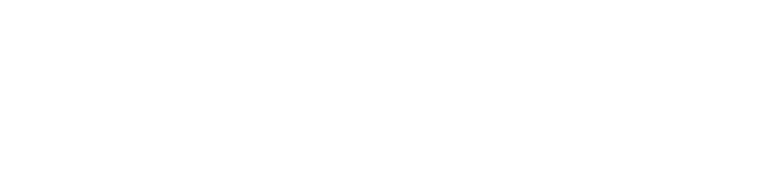 raidboxes-logo-platinum
