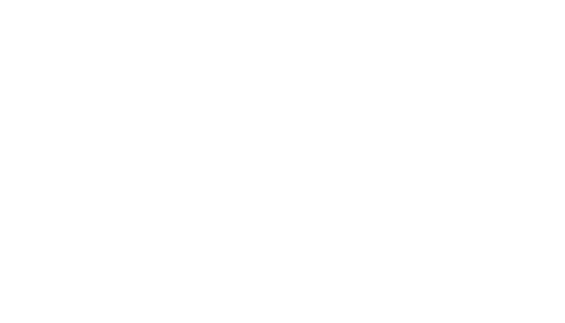 Erfolgsgeschichte Lehner