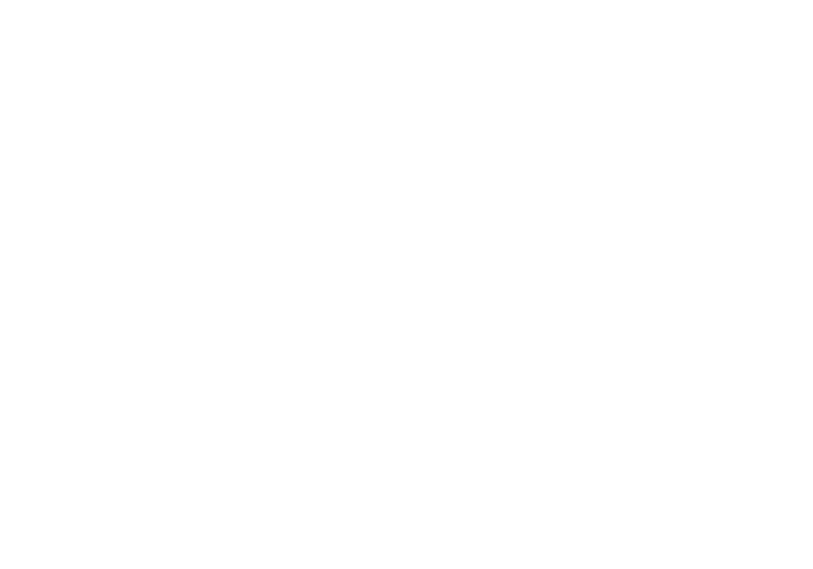 Erfolgsgeschichte Lehner